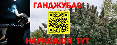 дживик Тверь