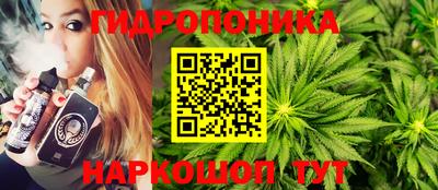 дживик Тверь