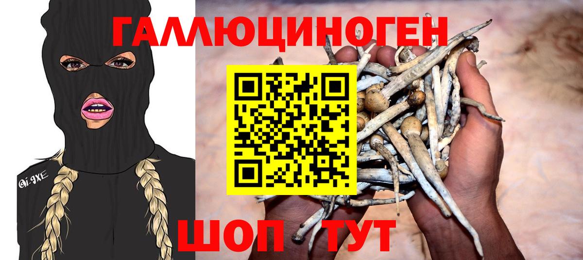 Галлюциногенные грибы MAGIC MUSHROOMS Батайск