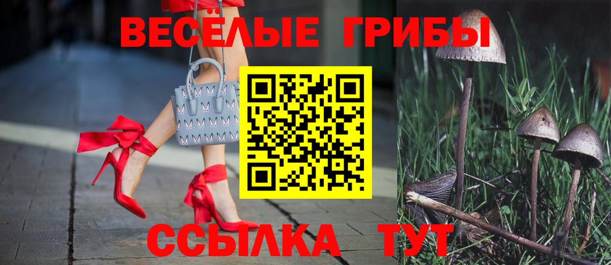 Псилоцибиновые грибы GOLDEN TEACHER  Вход с VPN  Батайск 